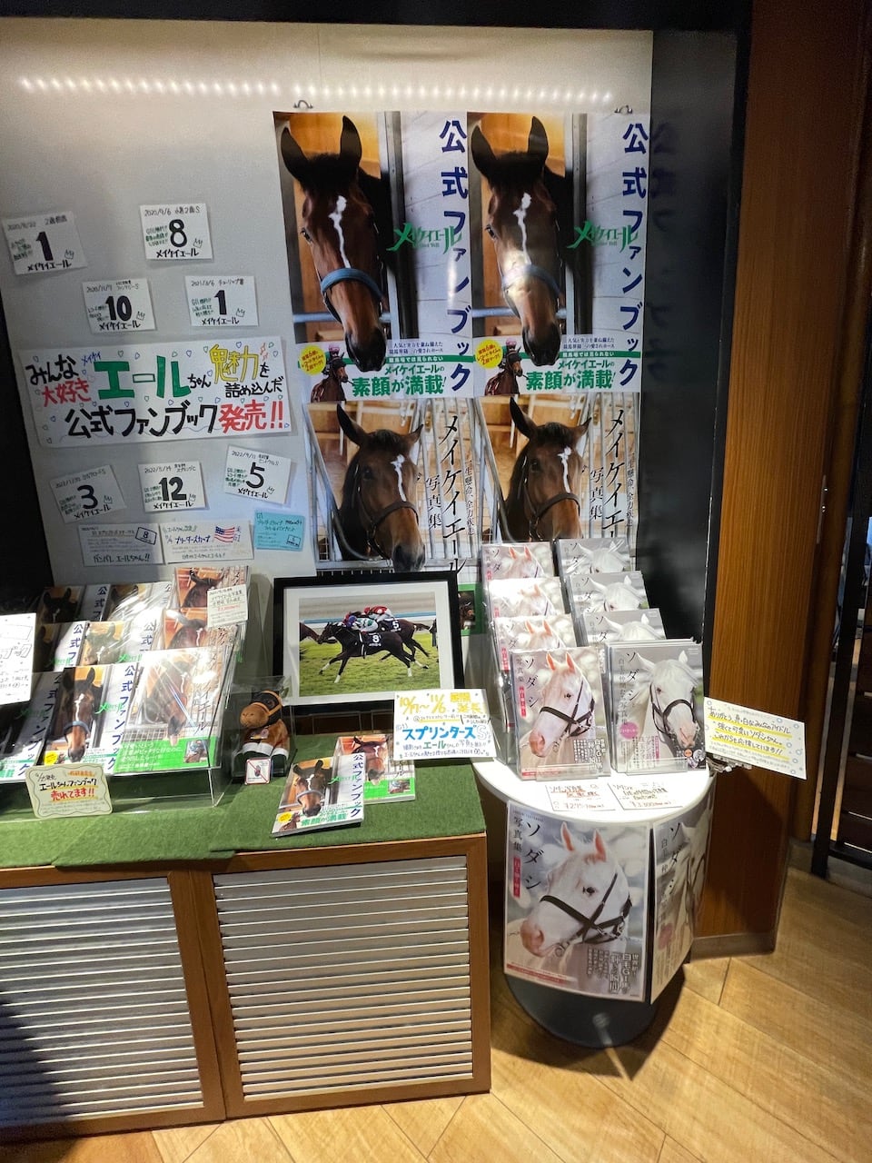 horse display in tower records